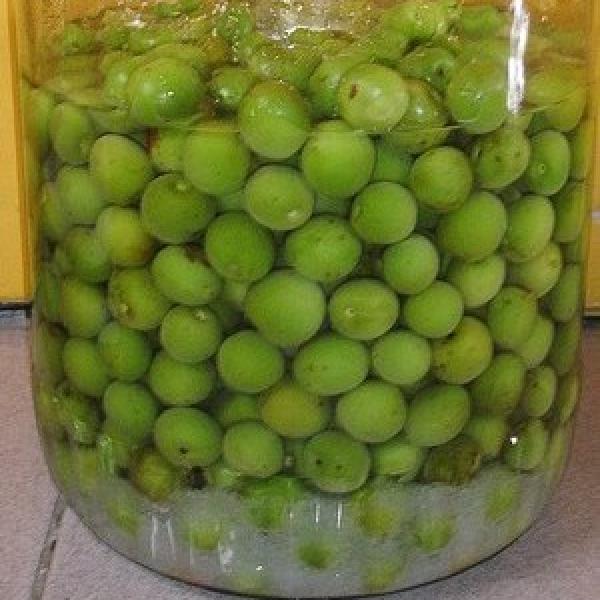 脆梅手作DIY